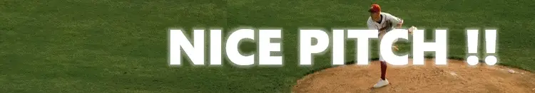 NICE PITCH!!